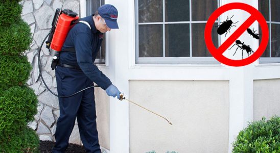 Altınekin Akrep İlaçlama böcek ilaçlama ve haşere kontrolü — ilaclama-tr.com